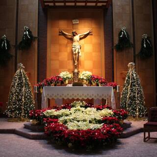 The sanctuary decorated for Christmas