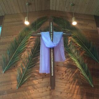 Palm Sunday 2015