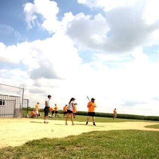 Harvest Softball 2013