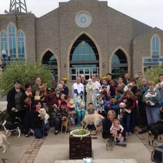 Blessing of Pets, October 5, 2013