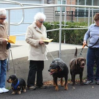 BLESSING OF THE PETS (October 14, 2018)