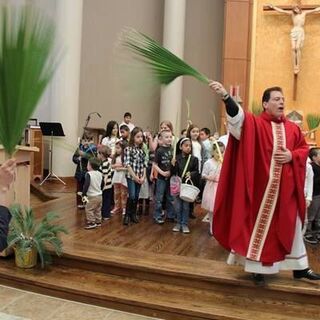 Palm Sunday 2014