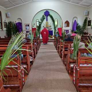 2021 Palm Sunday with Father Billy at St Anthony's