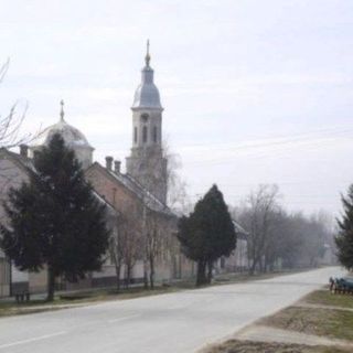 Gardinovci Orthodox Church Titel, South Backa