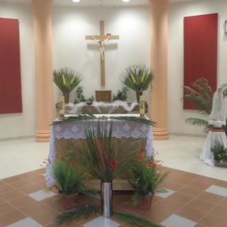 Palm Sunday