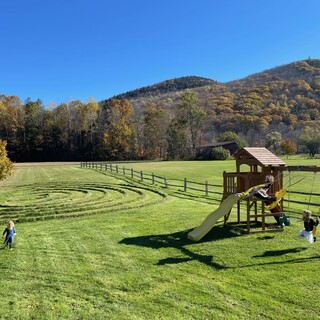 Kids at the backyard swing set