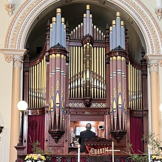 The organ