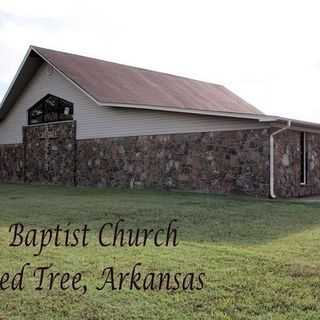 Grace Baptist Church - Marked Tree, Arkansas