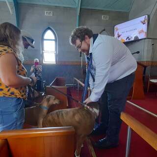 Blessing of the Animals 2021