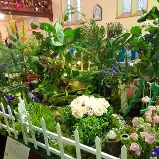 2024 Flower Festival