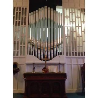 Our new organ pipes