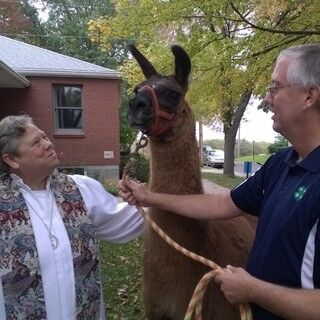 Blessing of animals