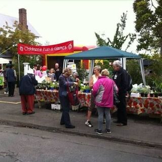 Strawberry Fair 2013