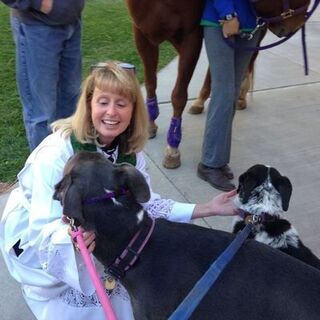 Blessing of the Animals 2014