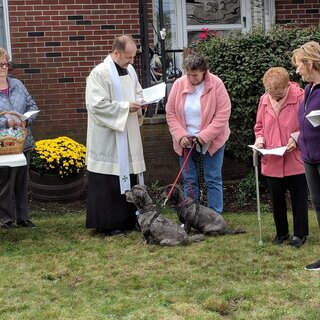 Blessing of the Animals 2018