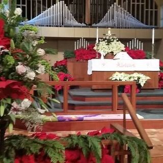 Christmas 2015 at St. Martin's