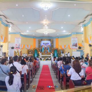 San Vicente Parish Toledo City, Cebu