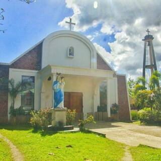 Our Lady of the Holy Rosary Parish Dumanjug, Cebu