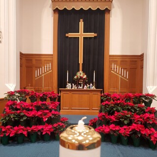 The sanctuary decorated for Christmas