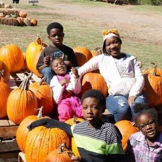 Family Pumpkin Patch trip