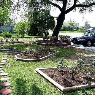 Carmel Temple Garden