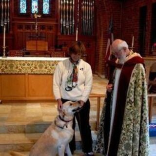 Blessing of the Animals