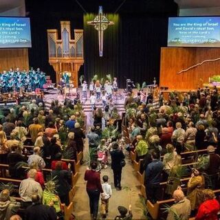 Palm Sunday 2017