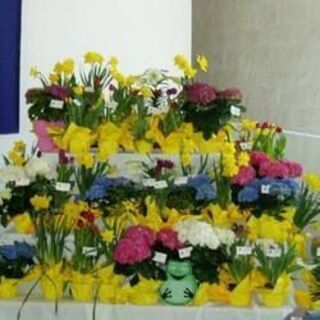 Easter Flowers at Tansley Church