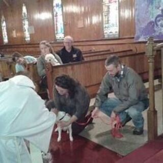 Blessing of the Animals