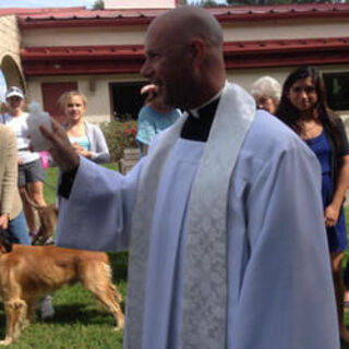 Blessing of the Animals 2014