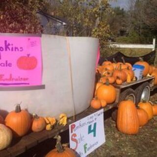 Pumpkins for Sale Youth Fundraiser 2015