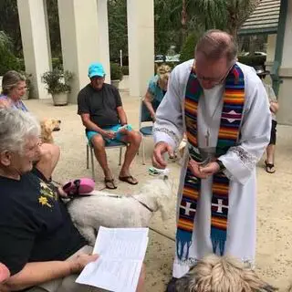 Blessing of the Animals 2017