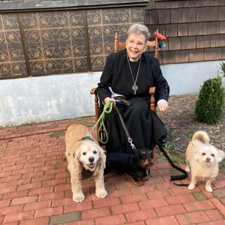 Blessing of the Animals 2021 on the Feast of St Francis.