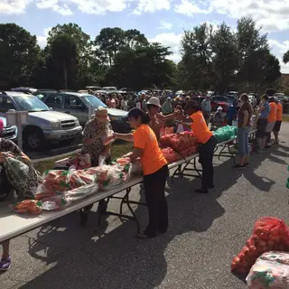 Food Distribution