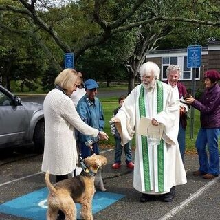 Blessing of the animals