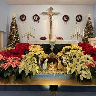 The altar decorated for Christmas