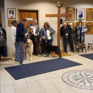 Blessing of the animals 2022