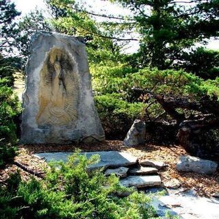 Shrine to our patroness, Our Lady of Guadalupe