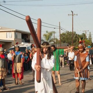 Via crucis 2014