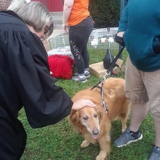 Blessing of the Animals 2018