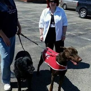 Blessing of the K9s