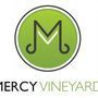 Mercy Vineyard Church - Moline, Illinois