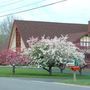 Hartford Bible Church - Hartford, Michigan